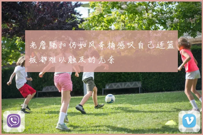 老詹隔扣仍如风夸梅感叹自己连篮板都难以触及的无奈