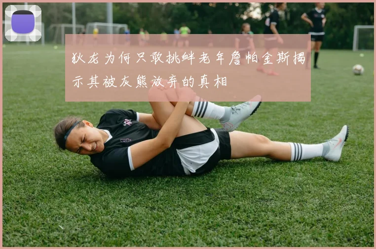 狄龙为何只敢挑衅老年詹帕金斯揭示其被灰熊放弃的真相